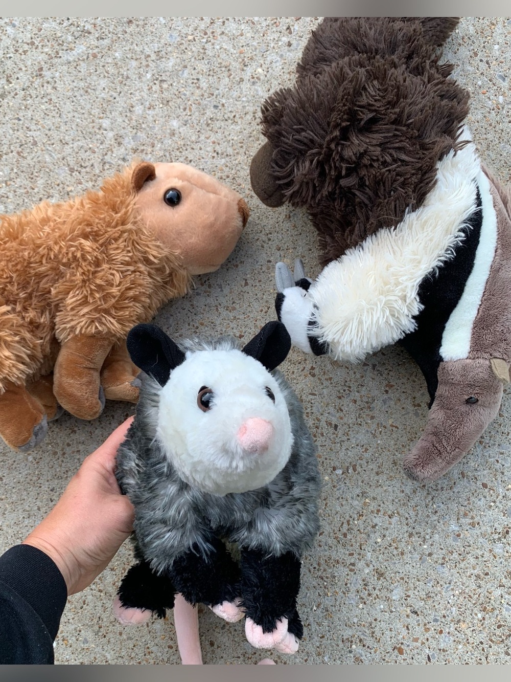 Wild Republic Lot of 3 Plush Stuffies Capybara Opossum Anteater